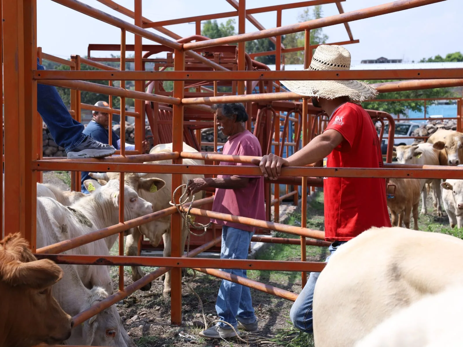 Gobierno Municipal de SJR brinda más de 130 atenciones a vecinos de El Coto.