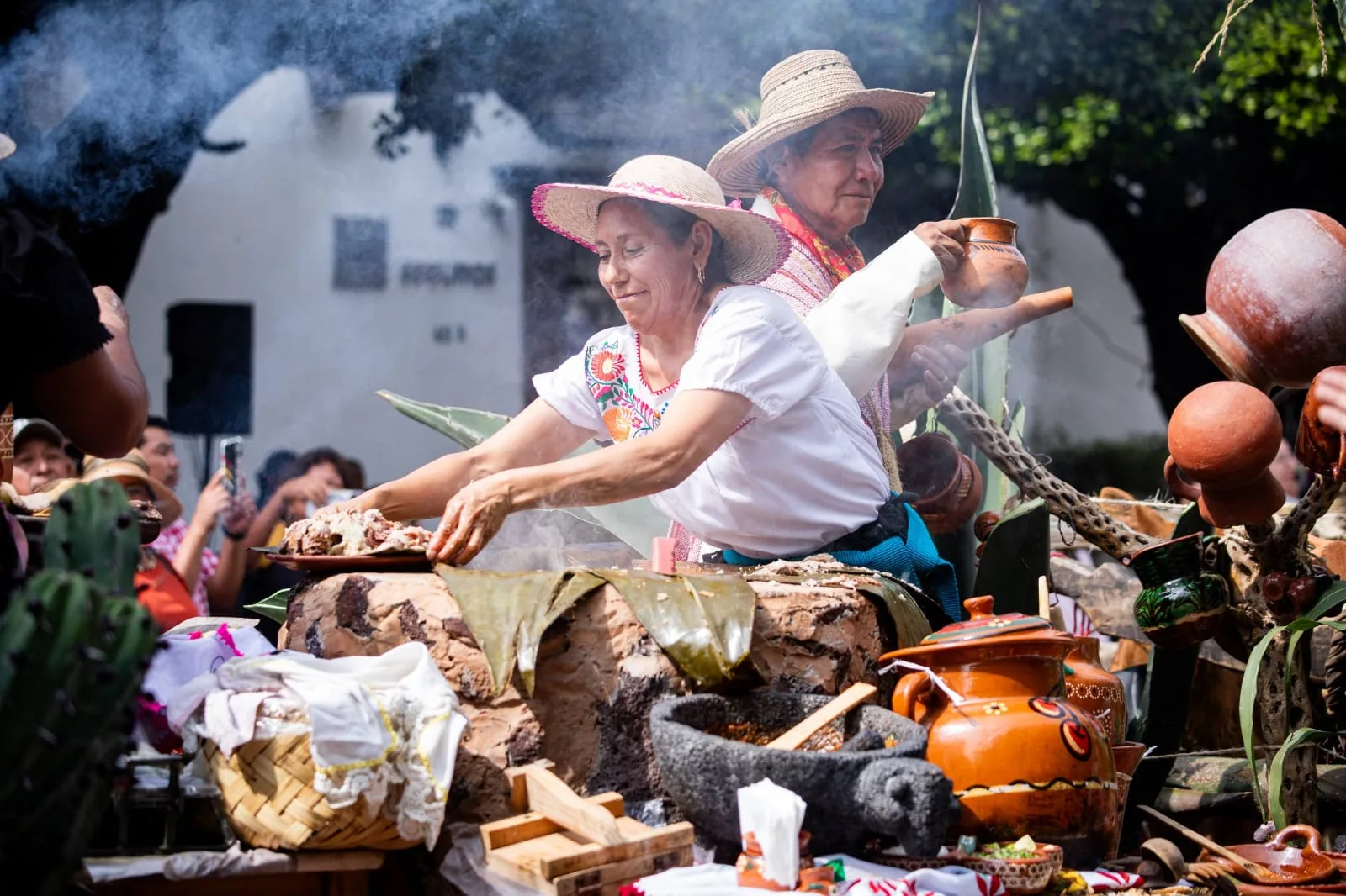 La Valla obtiene “La Flor Más Bella del Campo” y Santa Matilde gana el concurso de carros alegóricos.