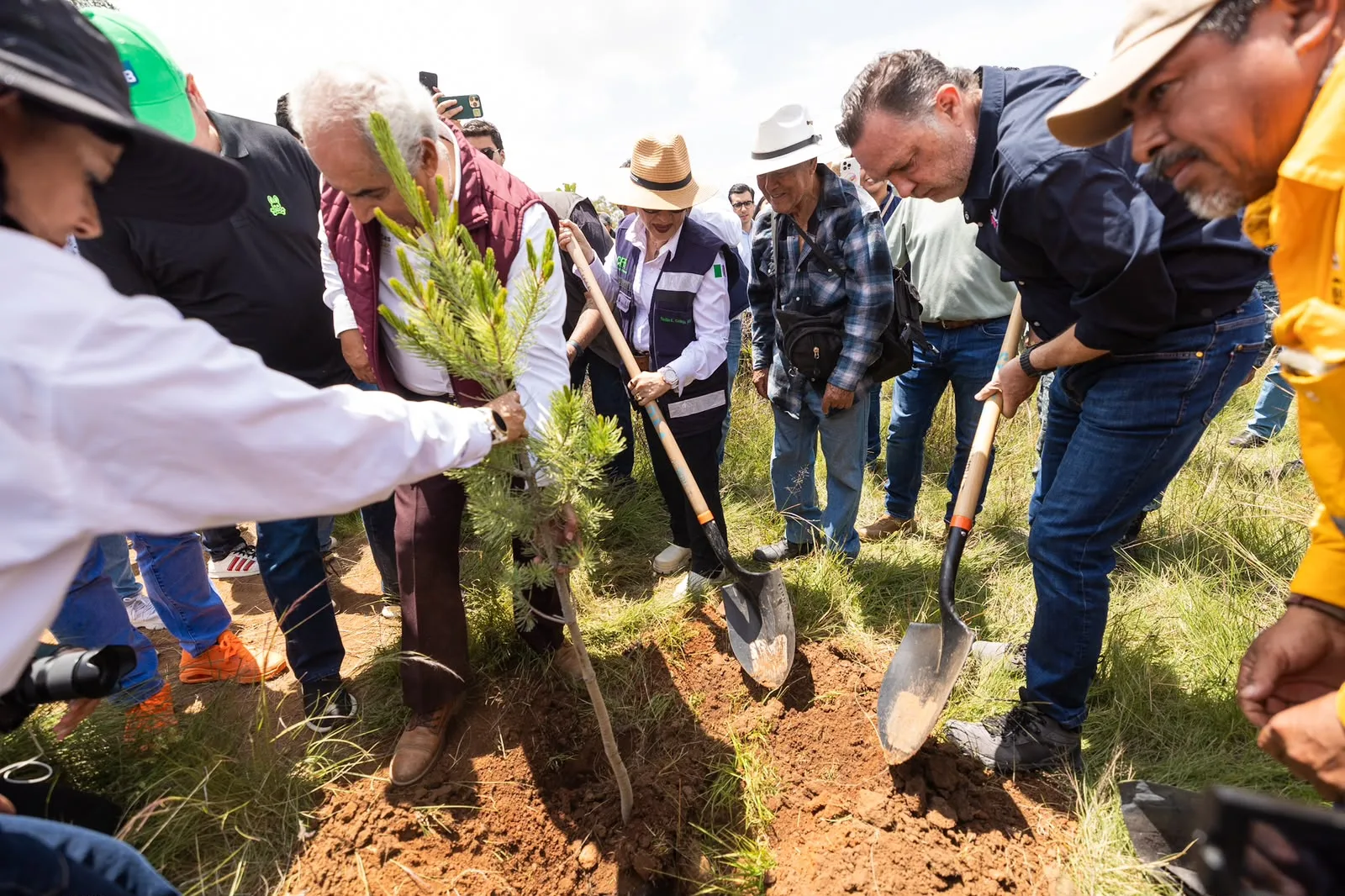 Participa Querétaro en la Jornada Nacional de Reforestación que busca restaurar los ecosistemas
