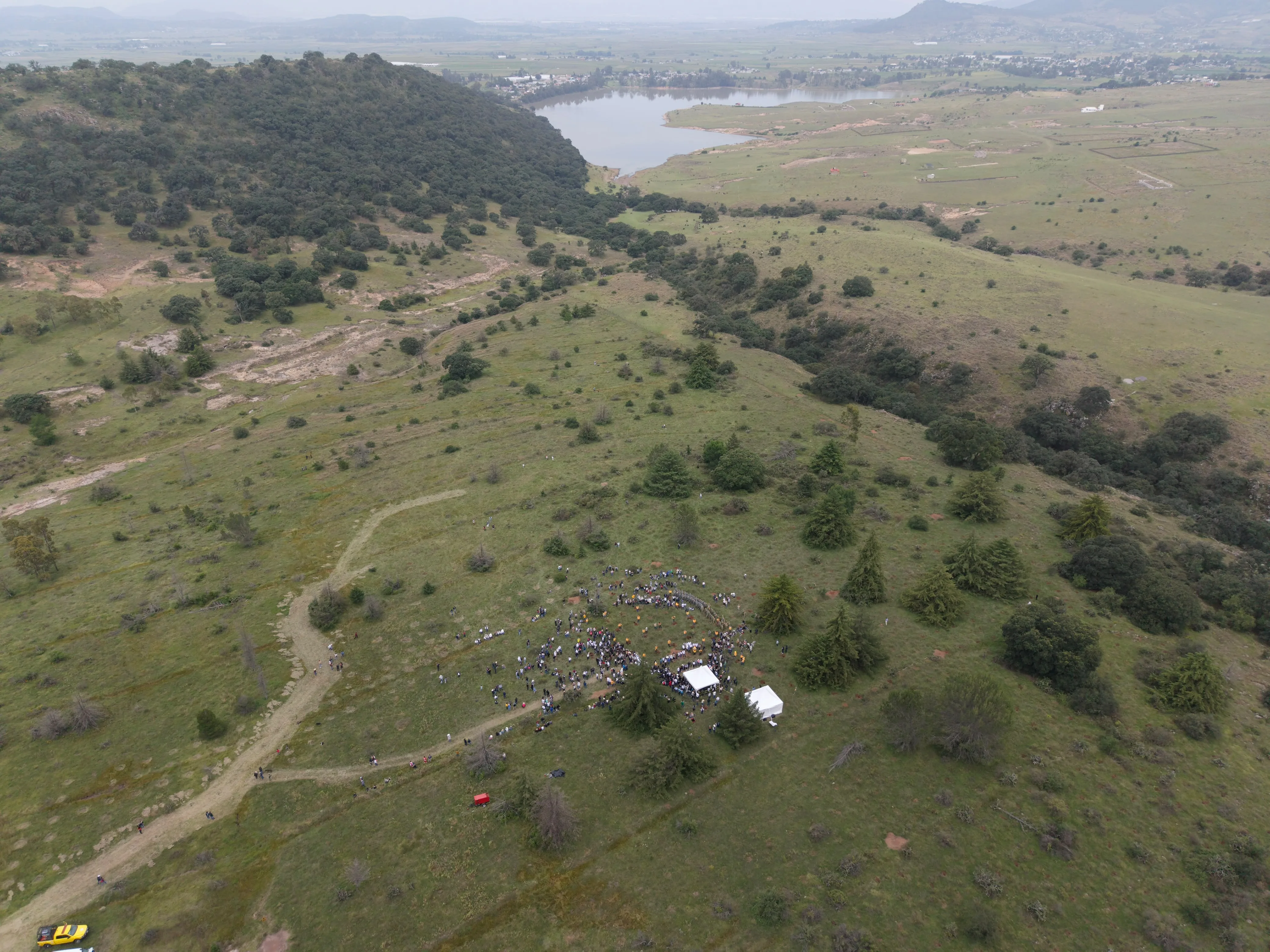 Participa Querétaro en la Jornada Nacional de Reforestación que busca restaurar los ecosistemas