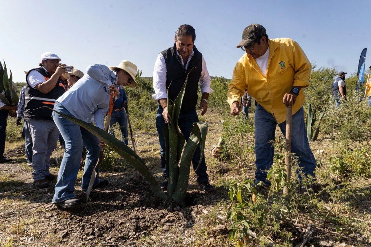 JAPAM fortalece acciones de reforestación para la recarga del acuífero con jornada en el Ejido Arcila.
