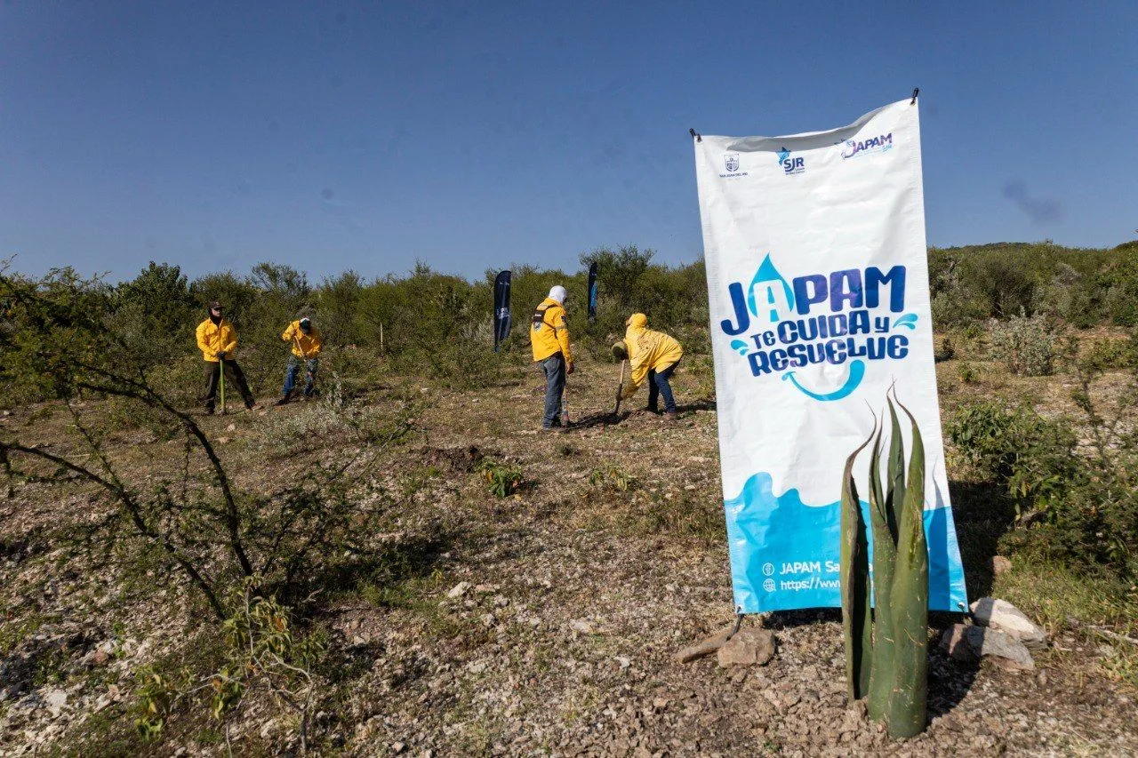 JAPAM fortalece acciones de reforestación para la recarga del acuífero con jornada en el Ejido Arcila.
