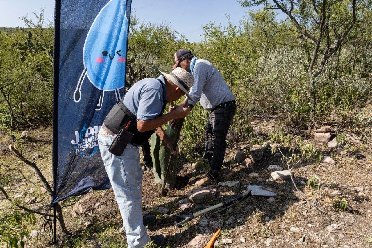 JAPAM fortalece acciones de reforestación para la recarga del acuífero con jornada en el Ejido Arcila.