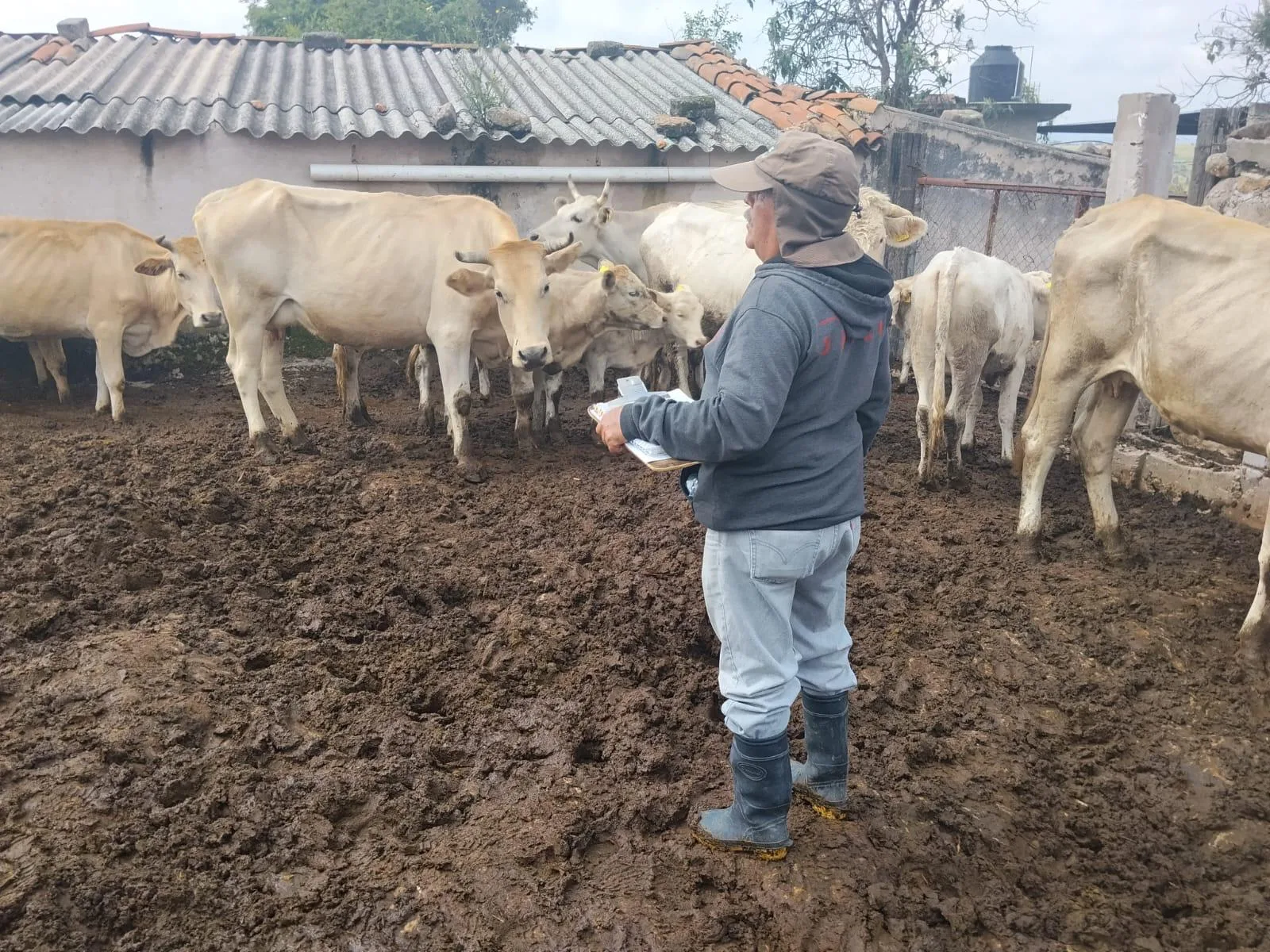 Municipio de SJR beneficia a sanjuanenses con el Programa “Miércoles en San Sebastián de las Barrancas Norte”.