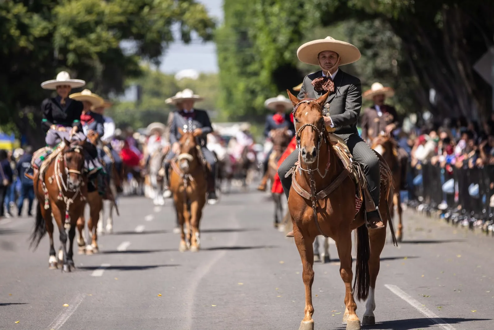 Atestigua gobernador Kuri desfile cívico militar conmemorativo por el CCXVI aniversario de la Independencia