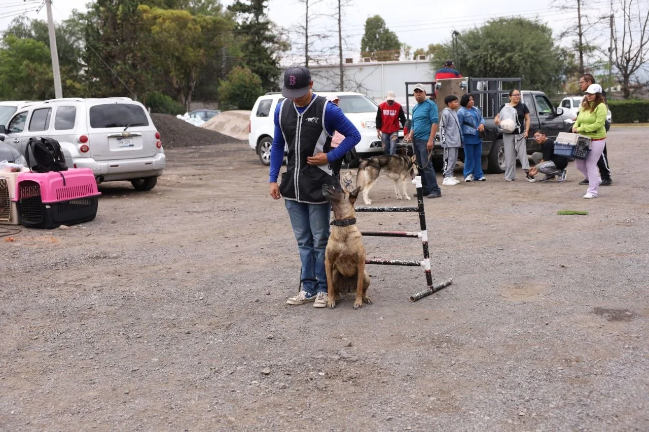 Roberto Cabrera encabeza Adopta Fest 2026 en el marco de su Quinto Informe de Gobierno.