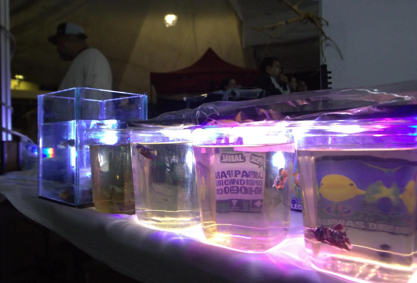 Expo Acuario SJR 2026; reunió a cerca de 26 mil personas, en el Jardín Independencia.