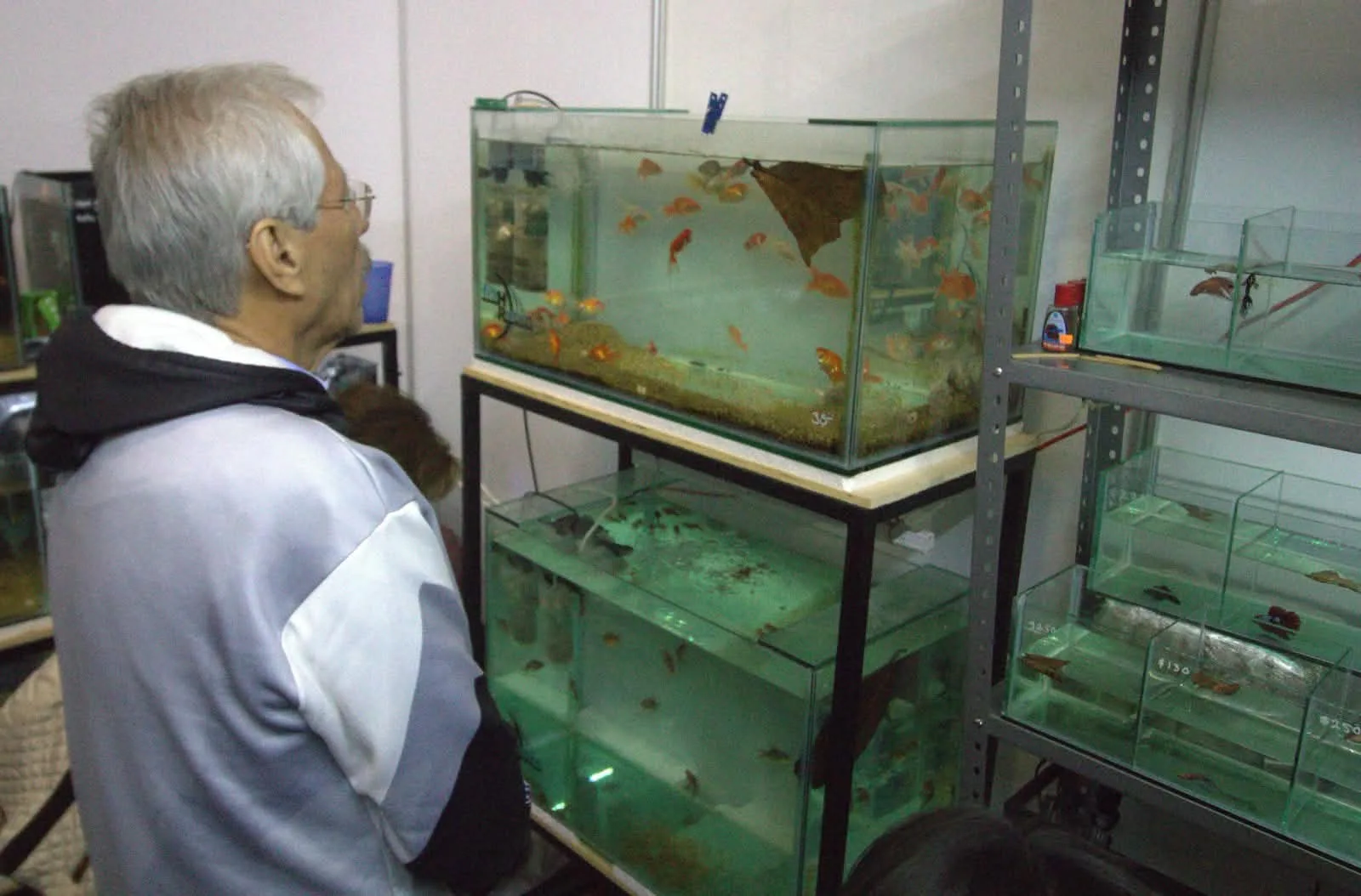 Expo Acuario SJR 2026; reunió a cerca de 26 mil personas, en el Jardín Independencia.