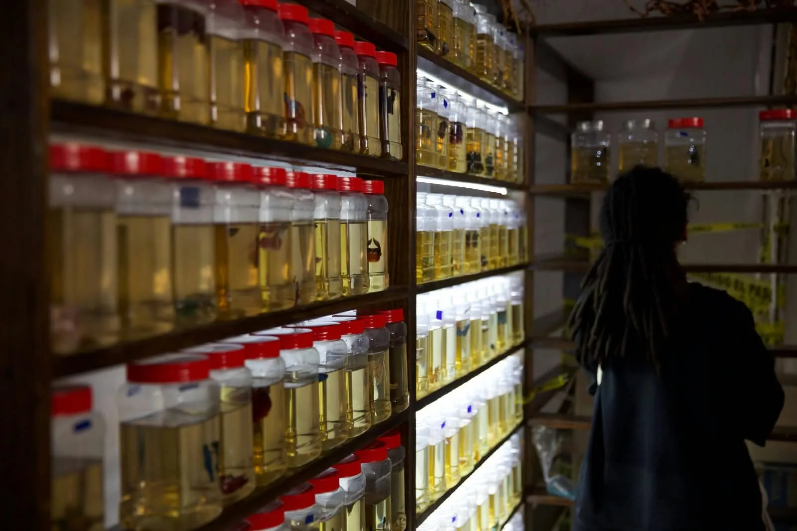 Expo Acuario SJR 2026; reunió a cerca de 26 mil personas, en el Jardín Independencia.