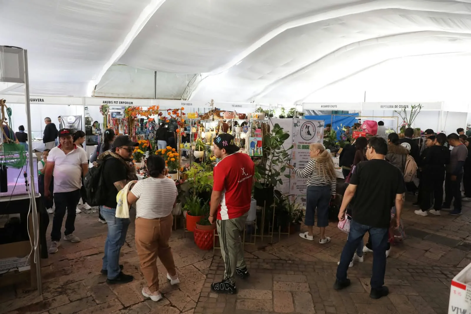 Expo Acuario SJR 2026; reunió a cerca de 26 mil personas, en el Jardín Independencia.