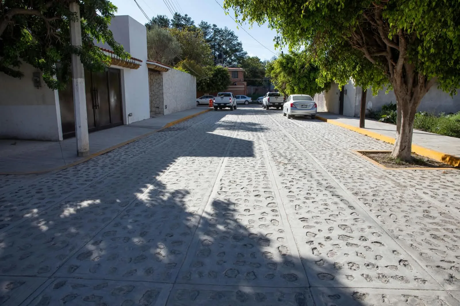 Entregó Roberto Cabrera la rehabilitación de la calle Cadereyta; en Vegas del Río con una inversión de 1.8 mdp.