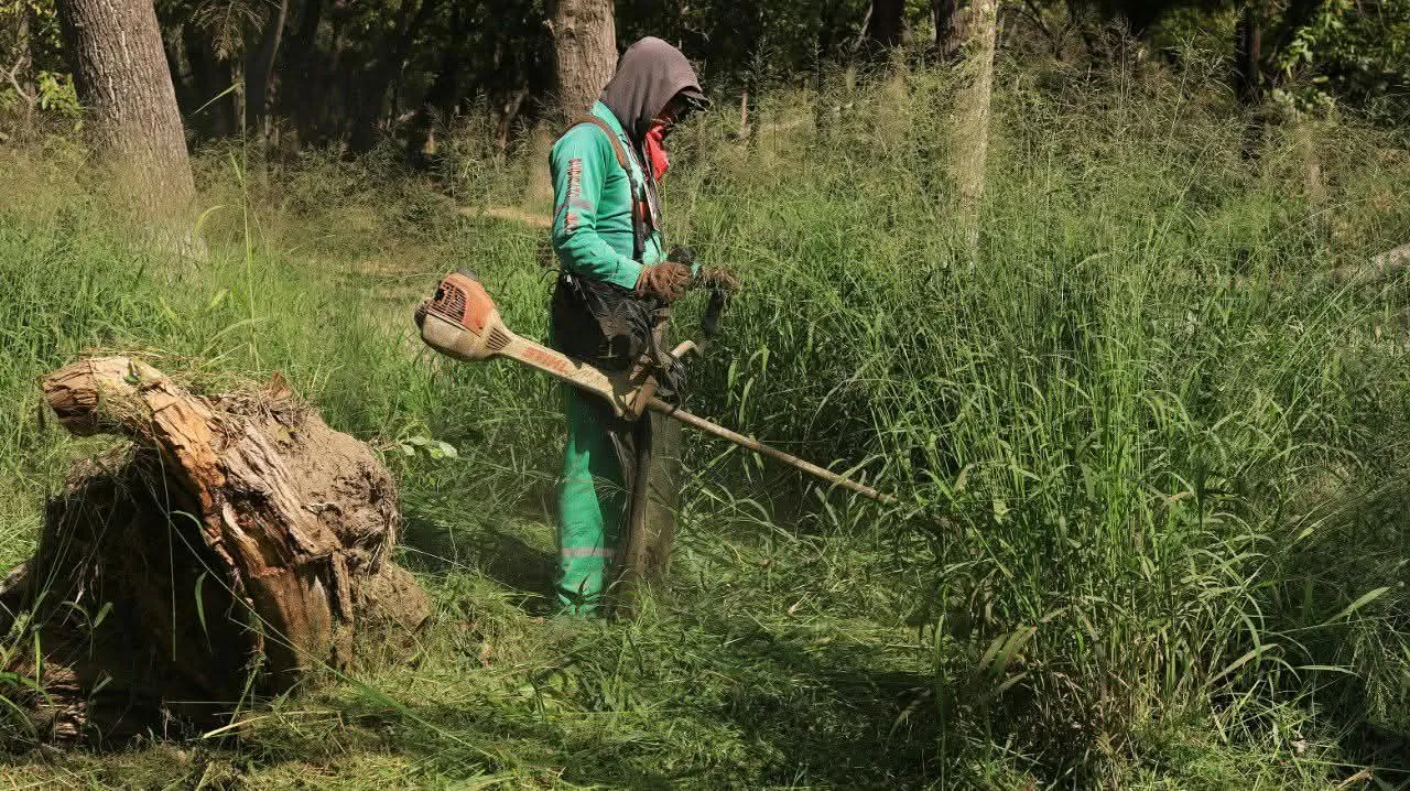 SJR implementará Operativo de Seguridad con motivo del Día de Muertos.