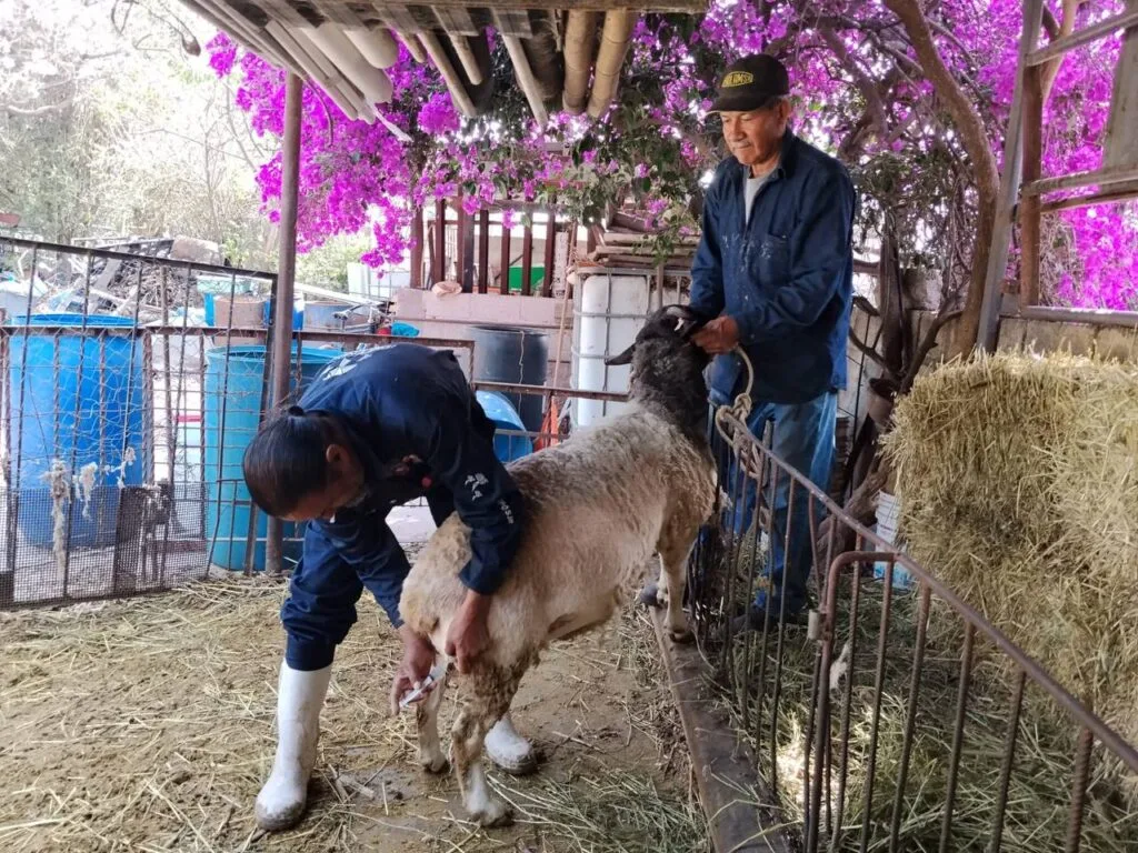 Por medio del trabajo en equipo, se ofrecen más y mejores resultados: Roberto Cabrera.
