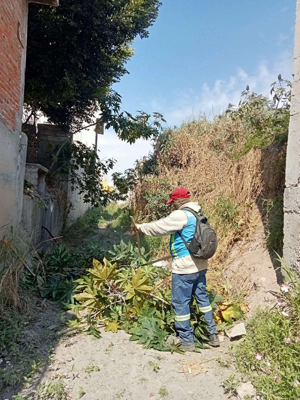 Servicios Públicos realiza limpieza, desazolve y deshierbe en drenes de SJR