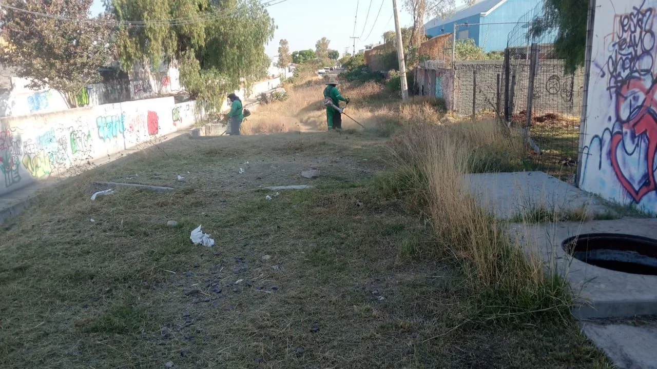 Servicios Públicos realiza limpieza, desazolve y deshierbe en drenes de SJR