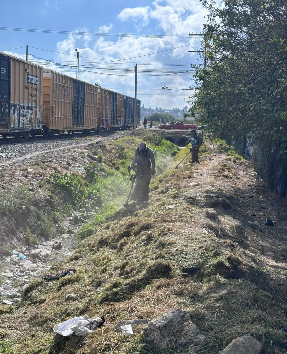 Servicios Públicos realiza limpieza, desazolve y deshierbe en drenes de SJR