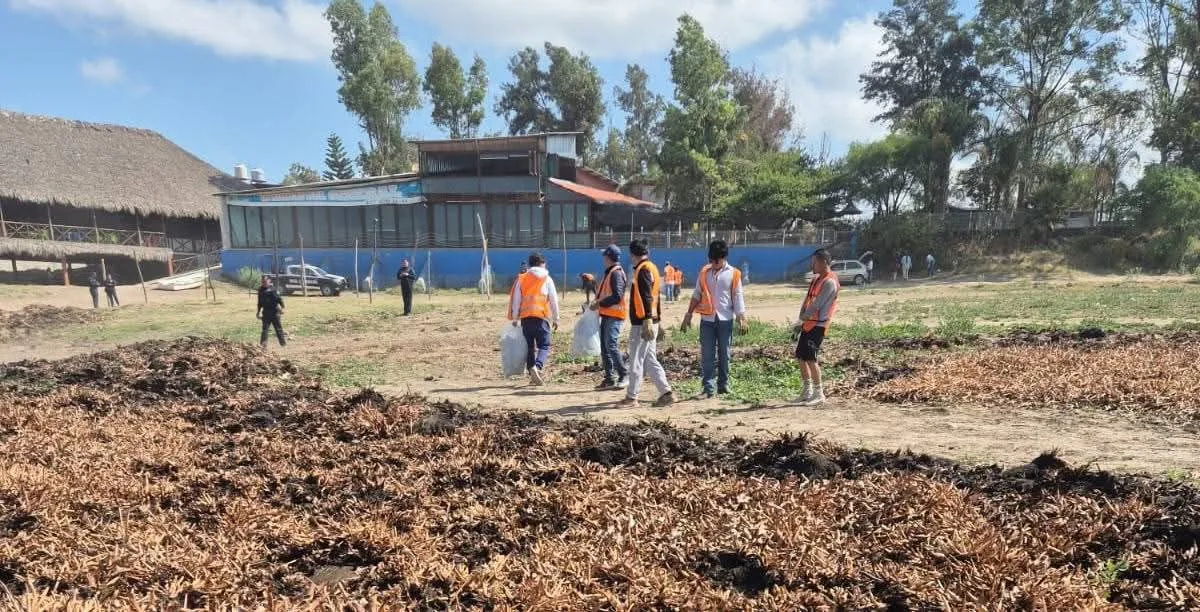 179 personas infractoras participan en jornadas de trabajo comunitario de enero a abril, en SJR