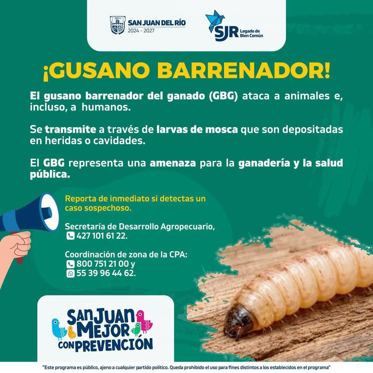 Autoridades en SJR piden extremar precauciones ante el Gusano Barrenador de Ganado