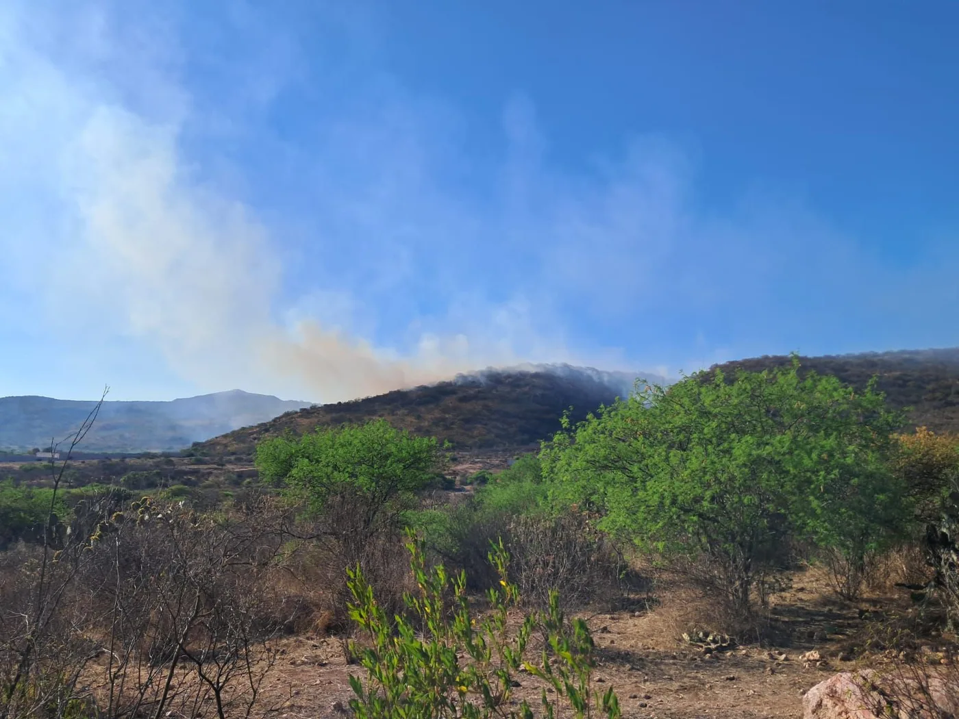 Gran labor de los Bomberos de SJR; logran sofocar intenso incendio en La Llave.