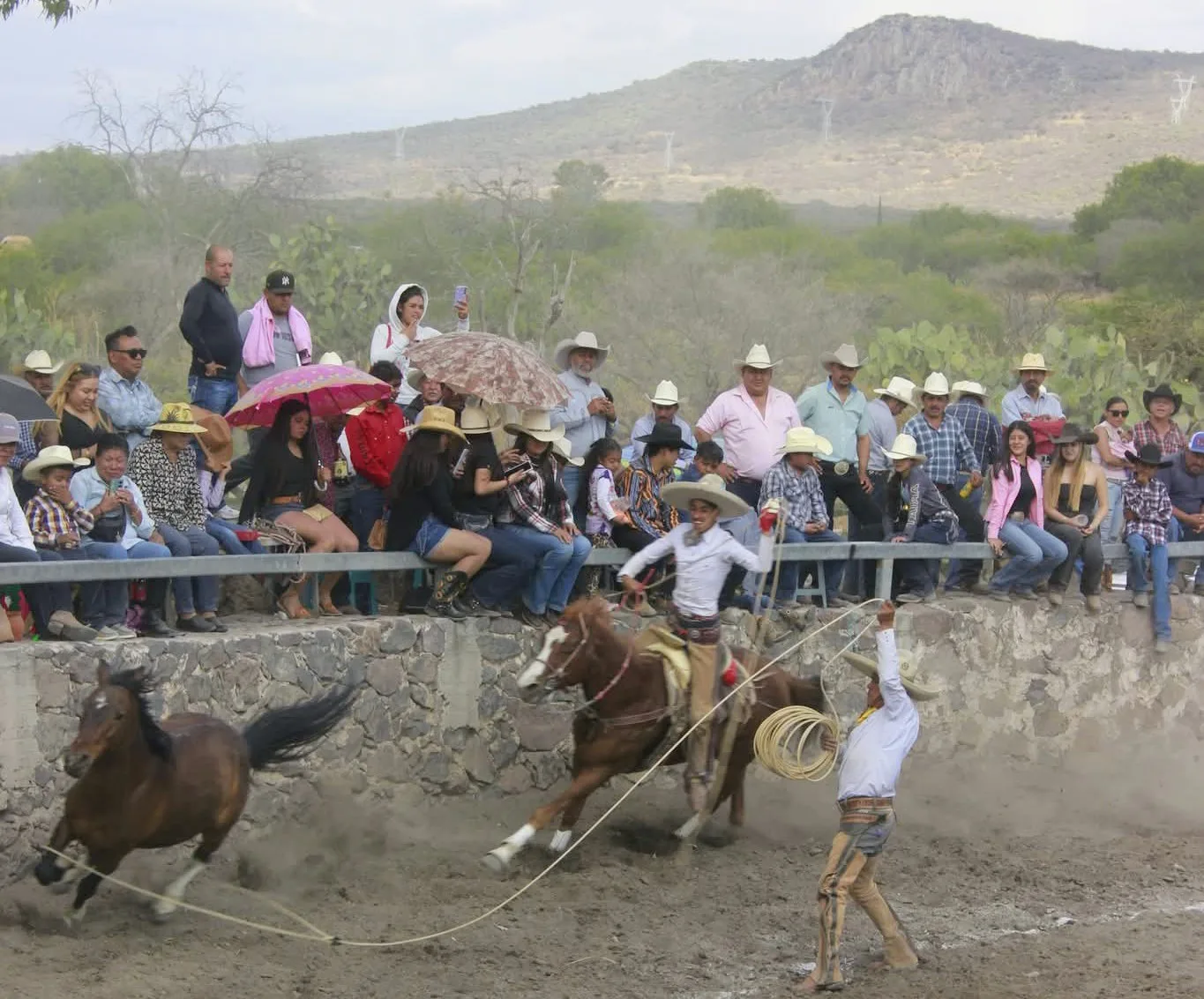 Malestar social en Paso de Mata; joven asesinado y su homicida no son habitantes de dicha localidad.