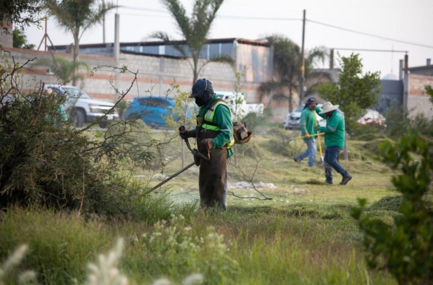 Alcalde de SJR supervisa mantenimiento del Parque de Loma Linda.
