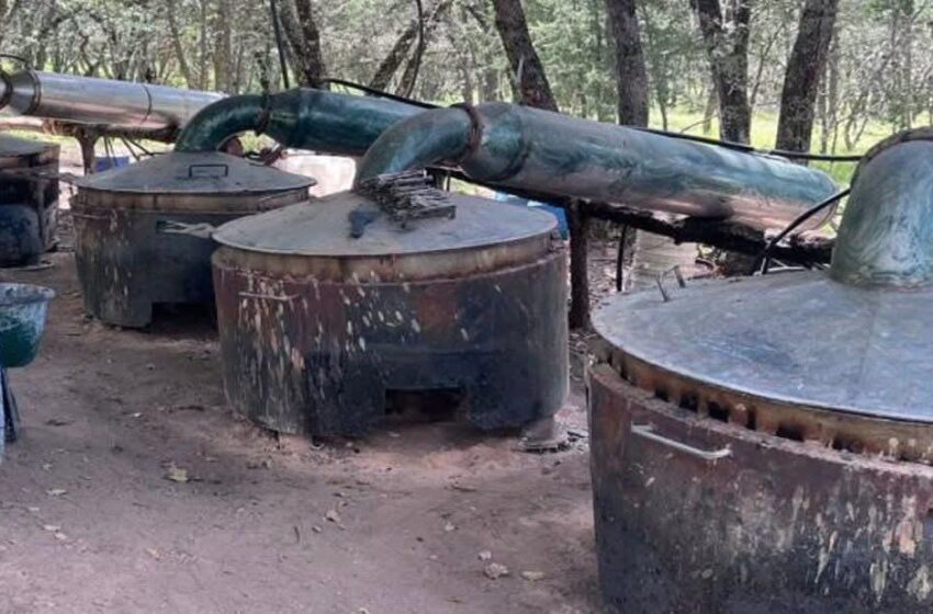  Autoridades Federales ubican y desmantelan narcolaboratorio en Querétaro.