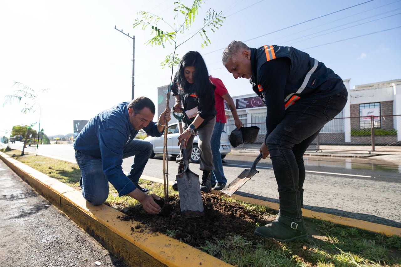 En cuatro años, reforestaciones con más de 48 mil árboles plantados, en SJR: Roberto Cabrera