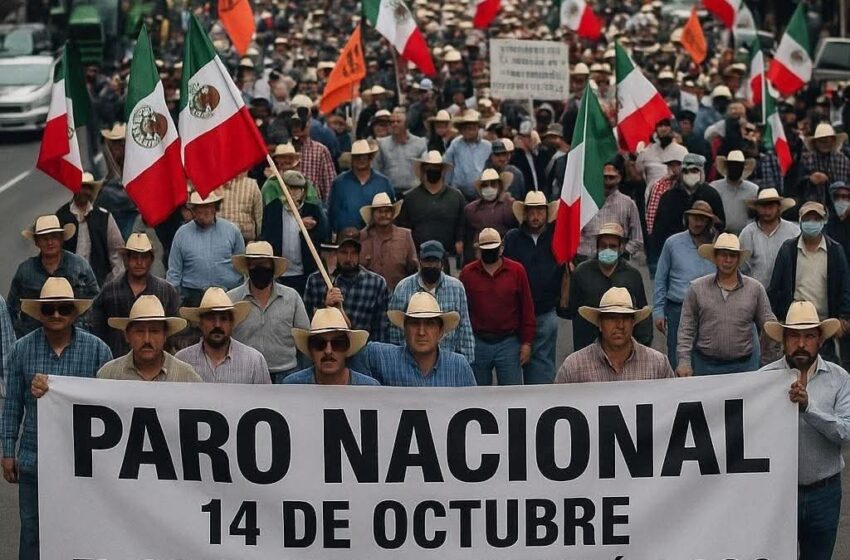 ¡Aguas! con el Paro Nacional de Productores de Granos; tomarán vialidades en 20 Estados del país.