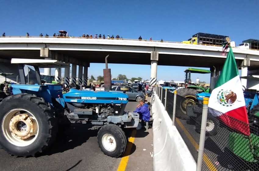  Movimiento Agrícola Campesino (MAC) se declara en ALERTA MÁXIMA.